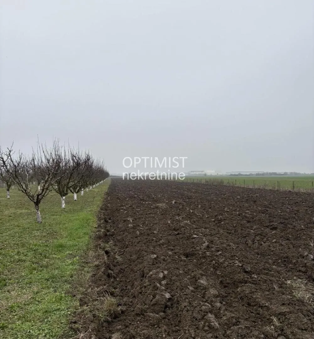 Prodaja, plac, 11000m², Zemun Ugrinovci, Zemun Sve Podlokacije