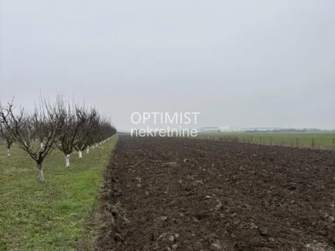 Sale, land lot, 11000m², Zemun Ugrinovci, Zemun Sve Podlokacije - image 2