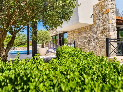 View of the yard and house facade with a swimming pool and greenery. - image 13