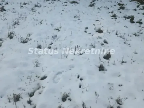 Prodaja, kuća, 250m², Futog, Novi Sad Sve Podlokacije - image 9