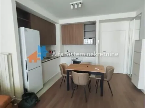 Izdavanje, dvosoban stan, 55m², Savski Venac, Beograd - image 8