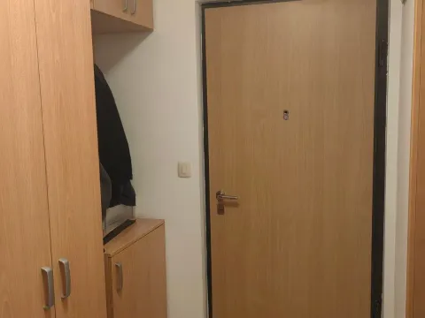 Izdavanje, jednosoban stan, 41m², Stari Aerodrom, Podgorica - image 4