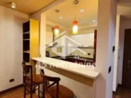 Izdavanje, dvosoban stan, 60m², Novi Beograd Sve Podlokacije, Beograd - image 4