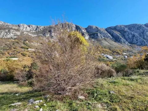 Sale, land lot, 5343m², Tudorovići, Budva - image 9