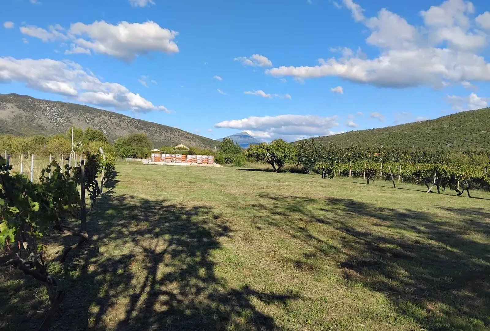 Prodaja, plac, 1520m², Beri, Podgorica