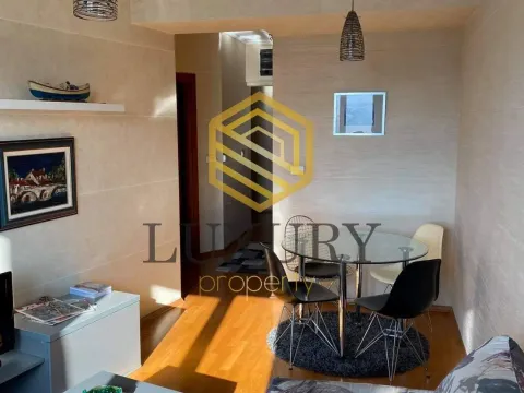 Izdavanje, jednosoban stan, 53m², Centar, Podgorica - image 2