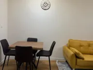 Izdavanje, jednosoban stan, 40m², Central Point, Podgorica - image 4