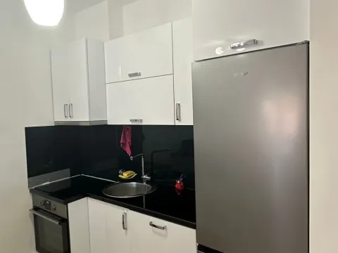 Izdavanje, jednosoban stan, 56m², Budva, Crna Gora - image 11