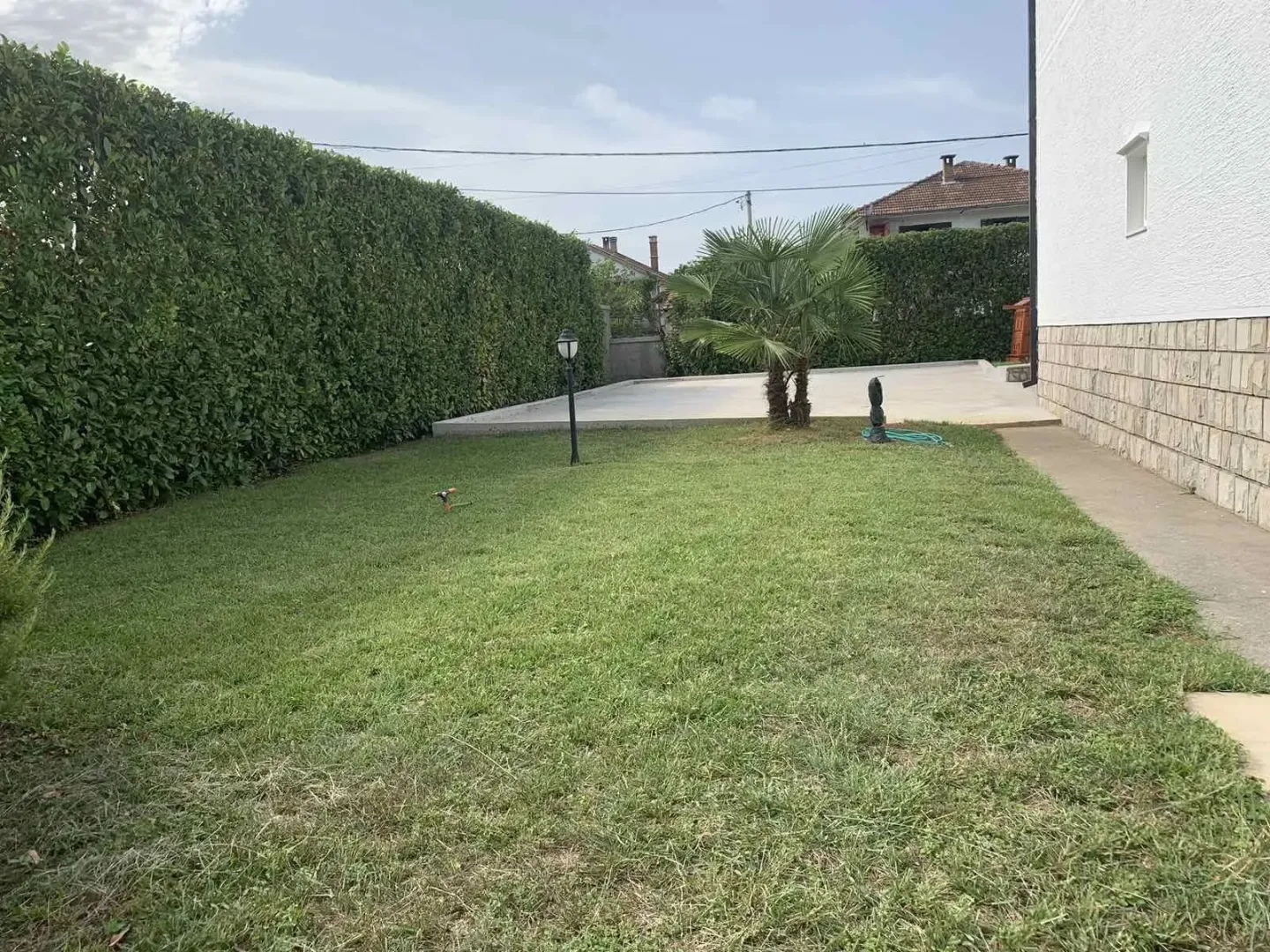 A landscaped yard with a lawn and hedge next to the house.