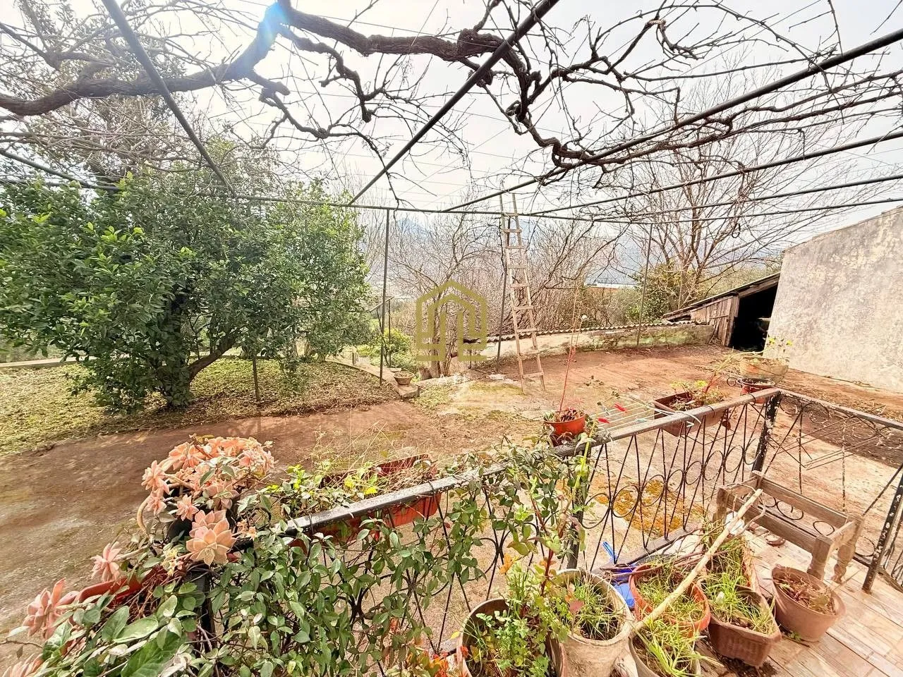 Terasa sa saksijama i pogledom na dvorište i vinovu lozu.