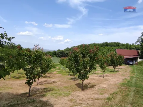 Prodaja, kuća, 59m², Inđija, Srbija - image 10