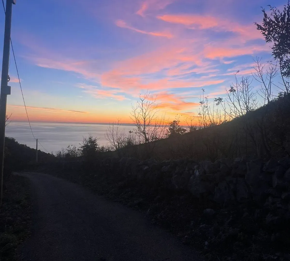 Prodaja, plac, 4000m², Bar, Crna Gora