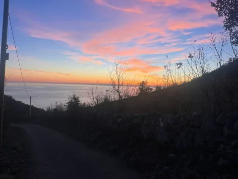 Prodaja, plac, 4000m², Bar, Crna Gora - image 3