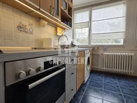 Izdavanje, dvosoban stan, 50m², Šumice, Beograd - image 4