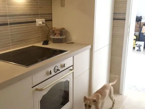 Sale, one bedroom apartment, 65m², Podkošljun, Budva - image 7