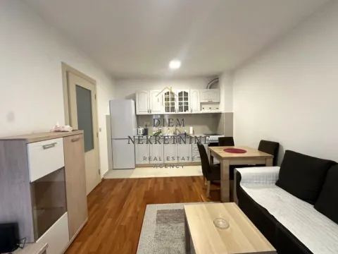 Izdavanje, jednosoban stan, 39m², Zabjelo, Podgorica - image 11