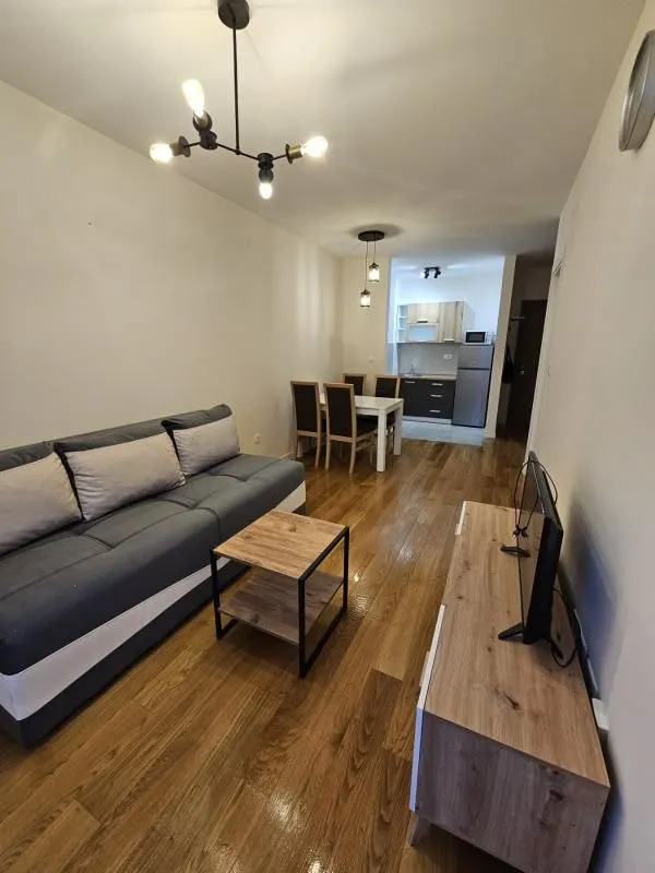 Izdavanje, jednosoban stan, 44m², Central Point, Podgorica