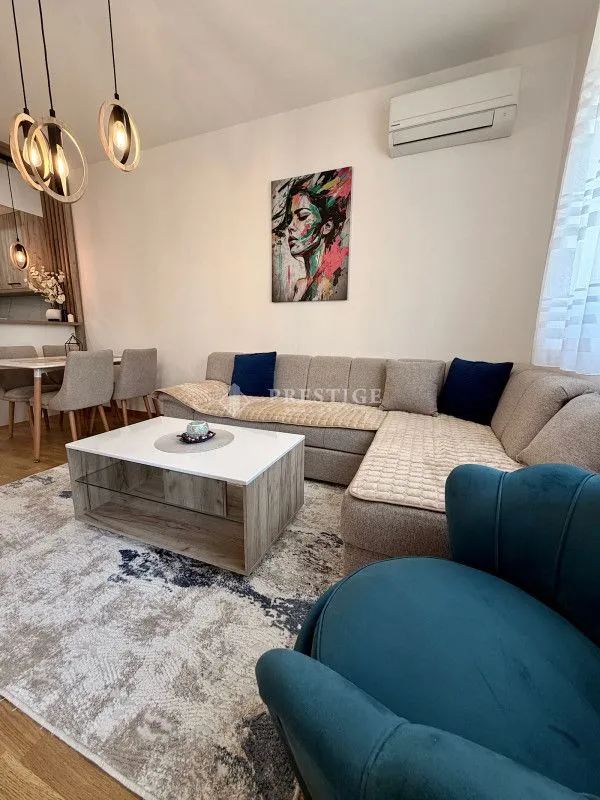 Rent, one bedroom apartment, 47m², Stari Aerodrom, Podgorica