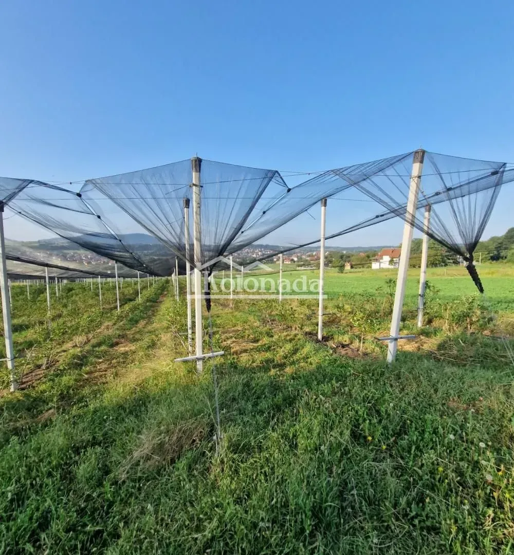 Prodaja, plac, 31670m², Sopot, Beograd