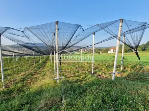 Prodaja, plac, 31670m², Sopot, Beograd - image 12