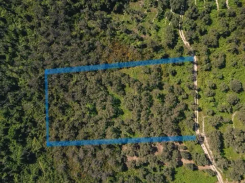 Prodaja, plac, 3030m², Centar, Ulcinj - image 9