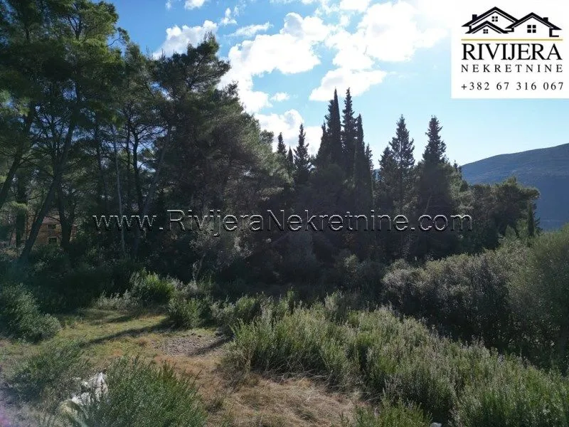 Prodaja, plac, 1334m², Mojdež, Herceg Novi