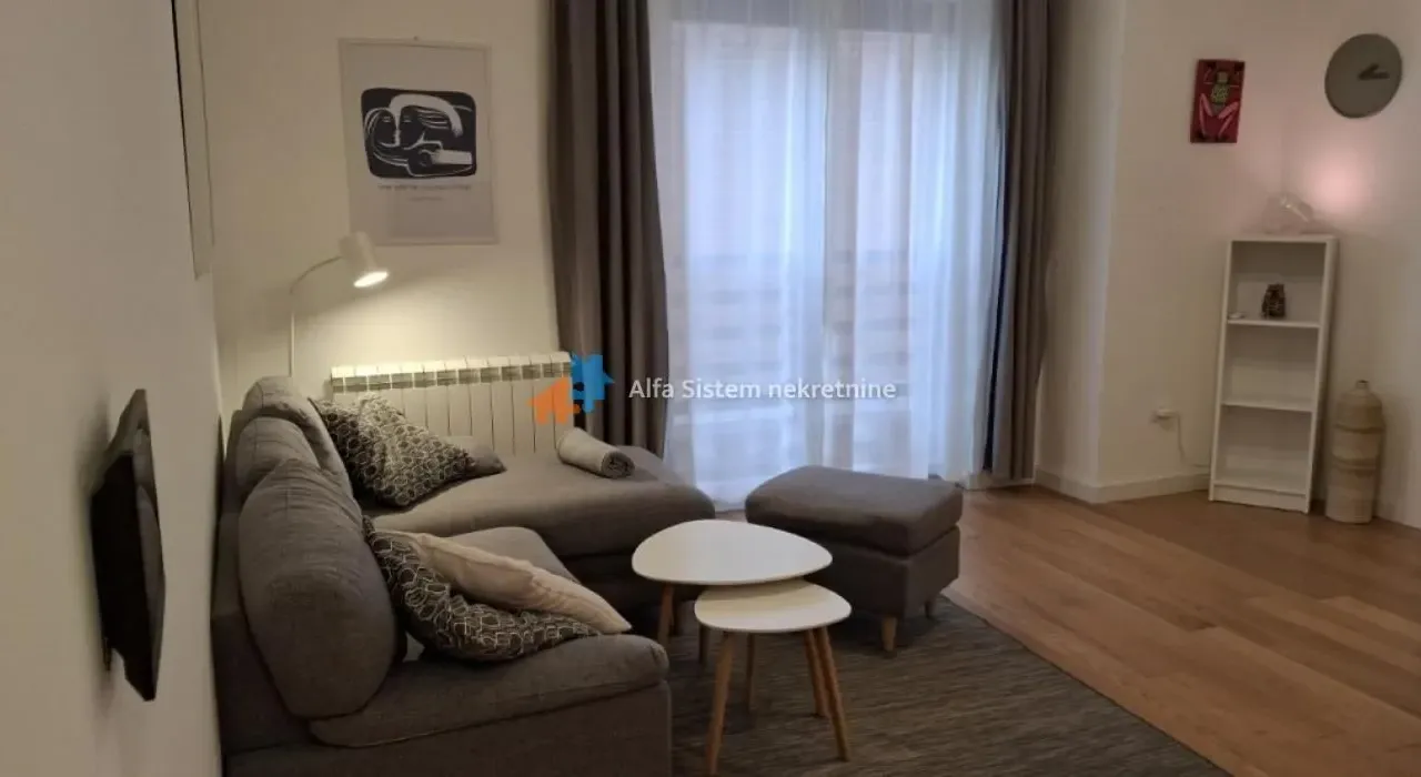 Izdavanje, stan, 45m², Vračar Centar, Vračar Sve Podlokacije