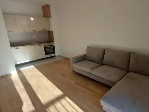 Sale, one bedroom apartment, 40m², Zabjelo, Podgorica - image 1