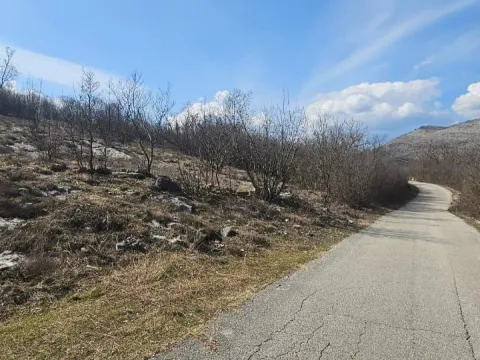 Prodaja, plac, 11179m², Podgorica, Crna Gora - image 4