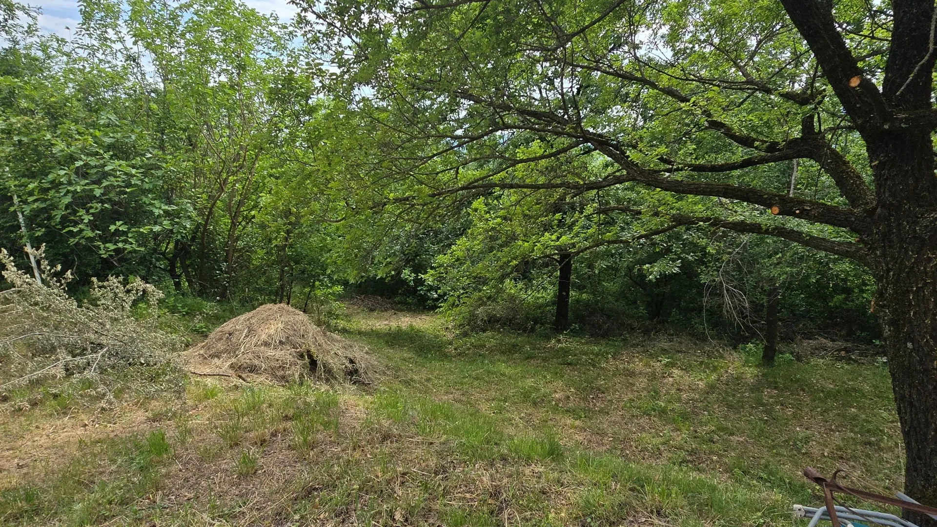 Prodaja, plac, 8000m², Piperi, Podgorica