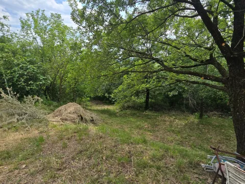 Prodaja, plac, 8000m², Piperi, Podgorica - image 4