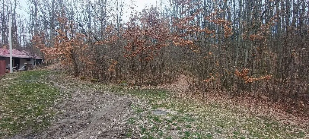 Sale, land lot, 300m², Atomska Banja, Čačak