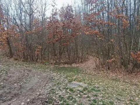 Zemljište in Atomska Banja