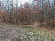 Prodaja, plac, 300m², Atomska Banja, Čačak