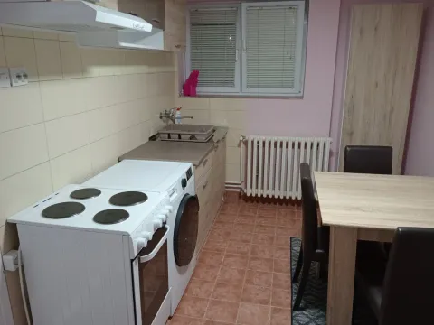 Izdavanje, dvosoban stan, 36m², Sajmište, Novi Sad - image 7