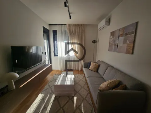 Rent, one bedroom apartment, 36m², Zabjelo, Podgorica - image 4