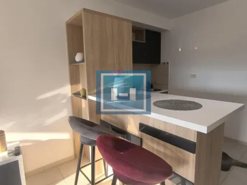 Izdavanje, stan, 37m², Centar, Paraćin - image 5