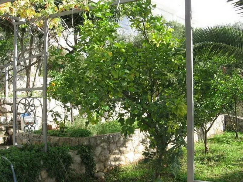 Sale, house, 244m², Dobra Voda, Bar