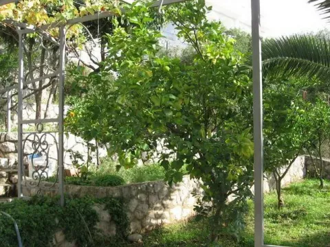 Sale, house, 244m², Dobra Voda, Bar - image 2