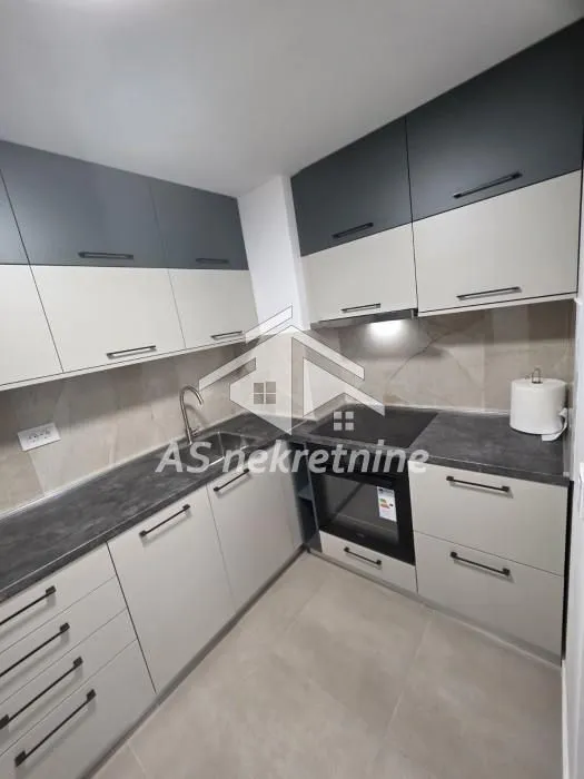 Izdavanje, stan, 40m², Hala Pionir, Palilula Sve Podlokacije