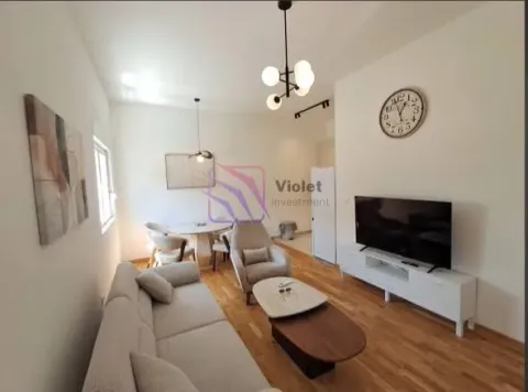 Rent, one bedroom apartment, 45m², Zabjelo, Podgorica - image 4