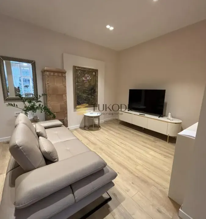 Izdavanje, dvosoban stan, 54m², Botanička Bašta, Palilula Sve Podlokacije