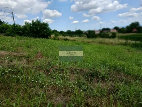 Prodaja, plac, 500m², Trnava, Jagodina - image 3