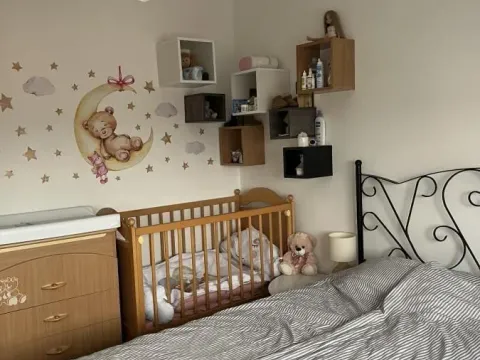 Sale, two bedroom apartment, 50m², Detelinara, Novi Sad Sve Podlokacije - image 3