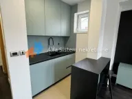 Izdavanje, stan, 27m², Savski Venac, Beograd - image 8