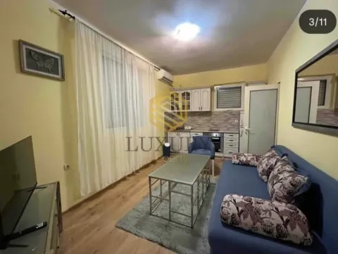 Izdavanje, jednosoban stan, 45m², Stari Aerodrom, Podgorica - image 7