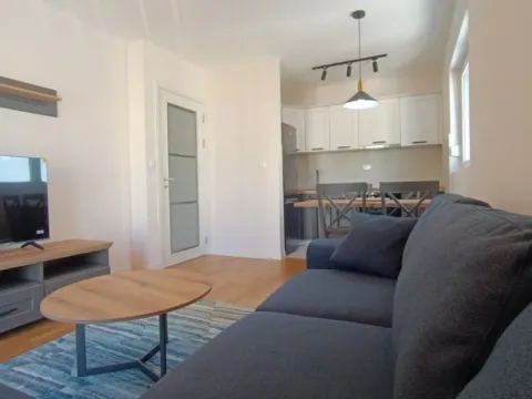 Izdavanje, jednosoban stan, 42m², Podgorica, Crna Gora - image 8