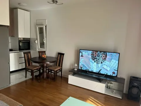 Izdavanje, jednosoban stan, 48m², Zabjelo, Podgorica - image 4