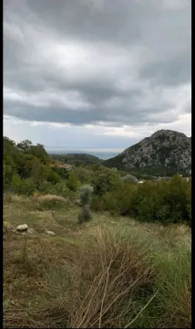 Pogled na brda, zelenilo i more u daljini. - image 3