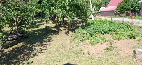 Prodaja, kuća, 1000m², Centar, Mojkovac - image 3
